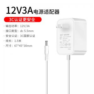 12V3A电源适配器白色